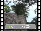 夏の大阪城「桜門の石垣と空堀」