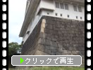 夏の大阪城「山里口出枡形と周辺」