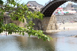 桜の緑陰と太鼓橋
