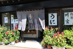 Ų鸮־Ȥ