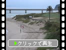 秋・早朝の「浜辺と角島大橋」