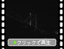 夜の関門大橋