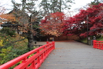 秋の弘前城「杉の大橋と南内門」