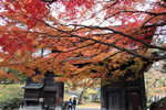 秋の弘前城「紅葉と南内門」