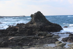 日本海に面した「ライオン岩」