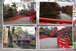 秋の弘前城「紅葉と杉の大橋」