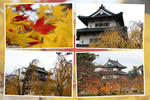 秋の弘前城「黄葉・紅葉と天守閣」