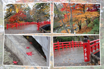 弘前城「下乗橋と秋風情」