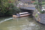 秋の松江城の濠を行く遊覧舟