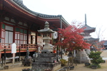秋の尾道「浄土寺の本堂」