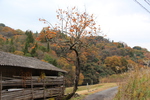 秋の里山・里村風景