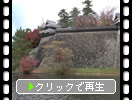 秋の山陰・松江城「南櫓・中櫓・太鼓櫓」