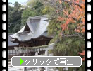秋の山陰・松江城「松江神社」