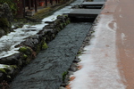冬の熊川宿（旧鯖街道）「用水路（前川）」