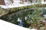 冬・積雪期の白川水源