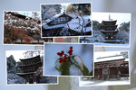 冬・積雪期の湖東・西明寺「三重塔、本堂、境内、本坊」