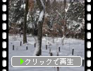 冬・積雪の「阿蘇野草園」