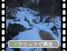 冬・積雪期の「白水鉱泉」