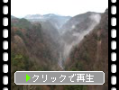 秋・紅葉期の「霧と峡谷の渓流」