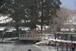 冬の金鱗湖「湖畔の橋」