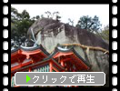 神倉神社の御神体「ゴトビキ岩」