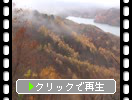 秋雨と黄葉の裏磐梯「小野川湖」