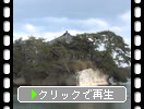秋の松島「五大堂から見た島々」