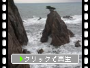 鳥取・浦富海岸「千貫松島に生える一本の松」