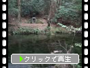 秋の熊本・阿蘇「池山水源」