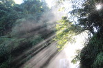 霧と滝からの水煙に射し込む陽光