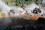 秋の別府温泉「山地獄の湯煙と熱水の池」