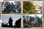 秋の三峯神社「日本武尊銅像と周辺」
