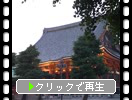 夕から夜の浅草寺