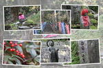 秋の岩屋寺「参道の仏像たち」