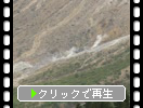 初夏の志賀高原「渋峠から見た白根山方面」