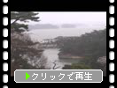 春の宮城・松島「入江の遊覧船と桜」