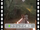 秋の松島・円通院「灯ろうの道」