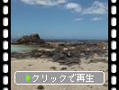 奄美大島「用海岸と動き」
