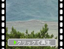 奄美大島のさざ波