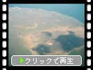 飛行機から見た「伊豆大島、房総半島の南部海岸」