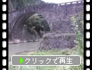 古い石橋「霊台橋と緑川」