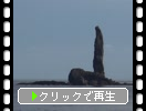 初秋の神威岬「ロウソク岩」