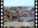 神威岬の海岸と岩