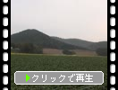 初秋の北海道「田園と夕霧」