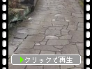 薩摩半島の坊津「敷石と石段の道」