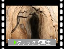 高知の龍河洞「洞内の４っの滝」