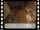 高知の龍河洞「裏見の滝」