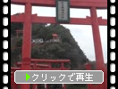 並ぶ赤い鳥居と元乃隅稲荷神社