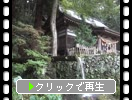 大滝神社の湧水と森