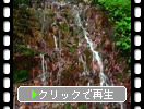 安芸の三段峡「赤滝」